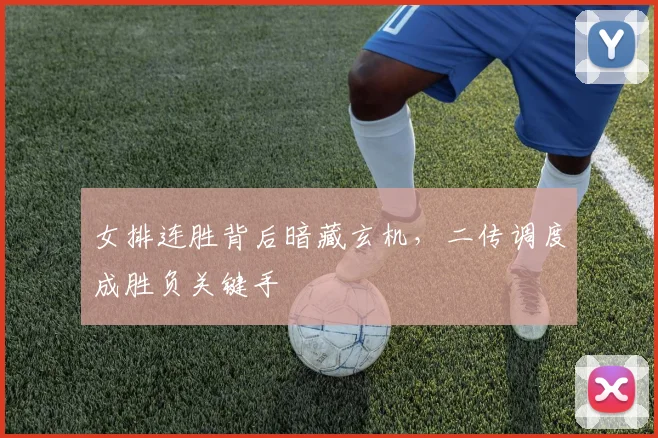 女排连胜背后暗藏玄机，二传调度成胜负关键手