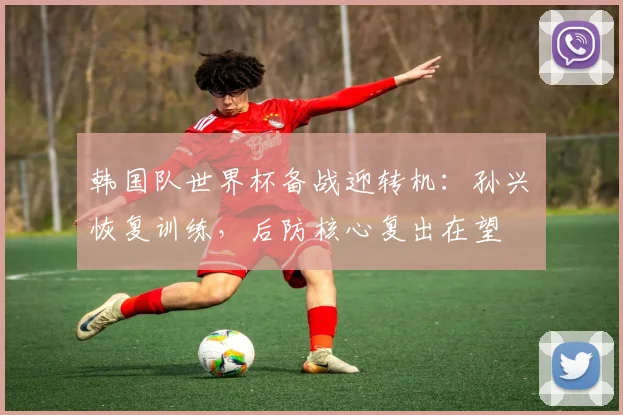 韩国队世界杯备战迎转机：孙兴慜恢复训练，后防核心复出在望